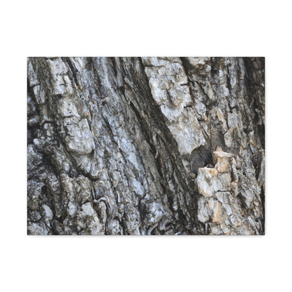 Nature's Rough Embrace - Unique Frameless Canvas Wall Art