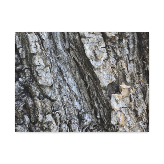 Nature's Rough Embrace - Unique Frameless Canvas Wall Art