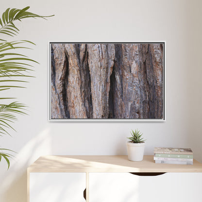 Ancient Grains - Unique Stretched Canvas Wall Art