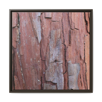 Peeling Bark - Unique Stretched Canvas Wall Art