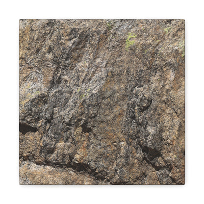 Weathered Stone Secrets - Unique Frameless Canvas Wall Art