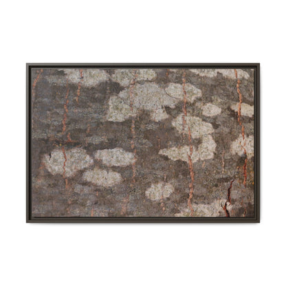 Lichen's Legacy - Unique Stretched Canvas Wall Art