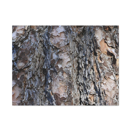 Bark's Rugged Symphony - Unique Frameless Canvas Wall Art