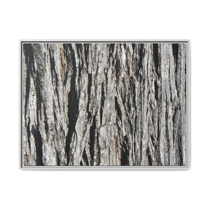 Nature's Abstract - Unique Stretched Canvas Wall Art