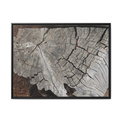 Time's Signature - Unique Stretched Canvas Wall Art
