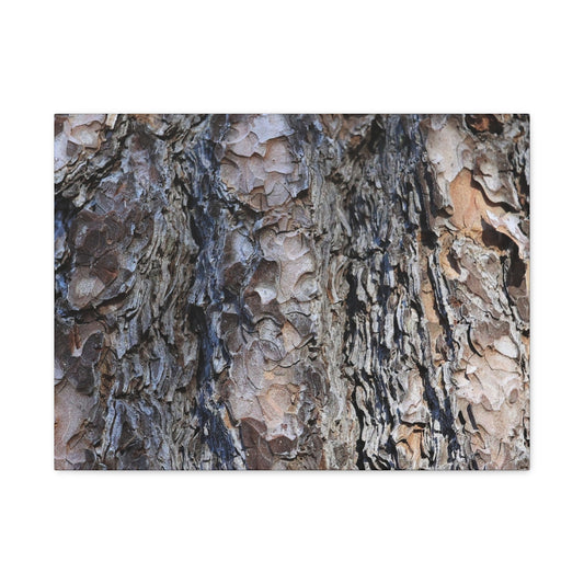 Bark's Rugged Symphony - Unique Frameless Canvas Wall Art