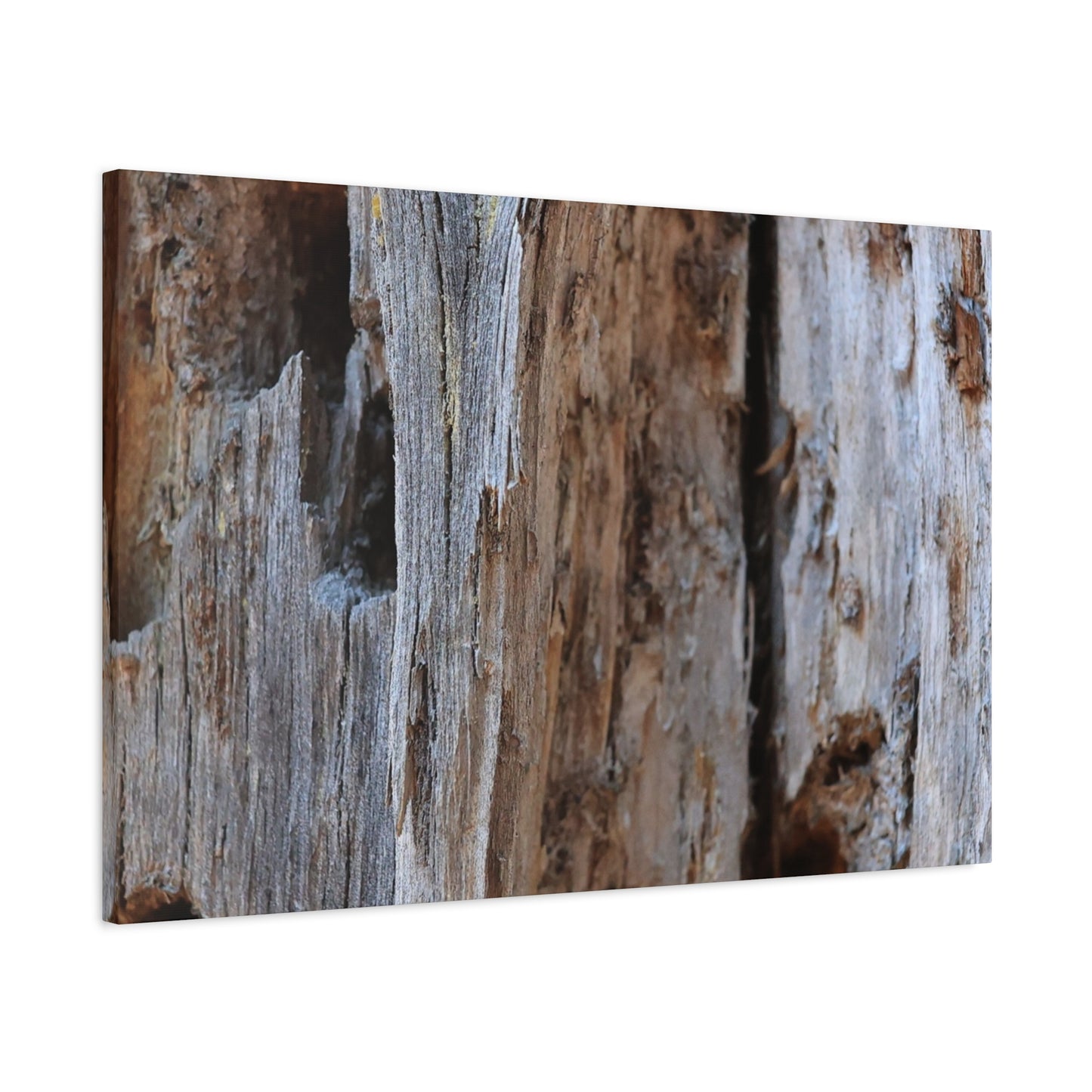Timber Tapestry - Unique Frameless Canvas Wall Art