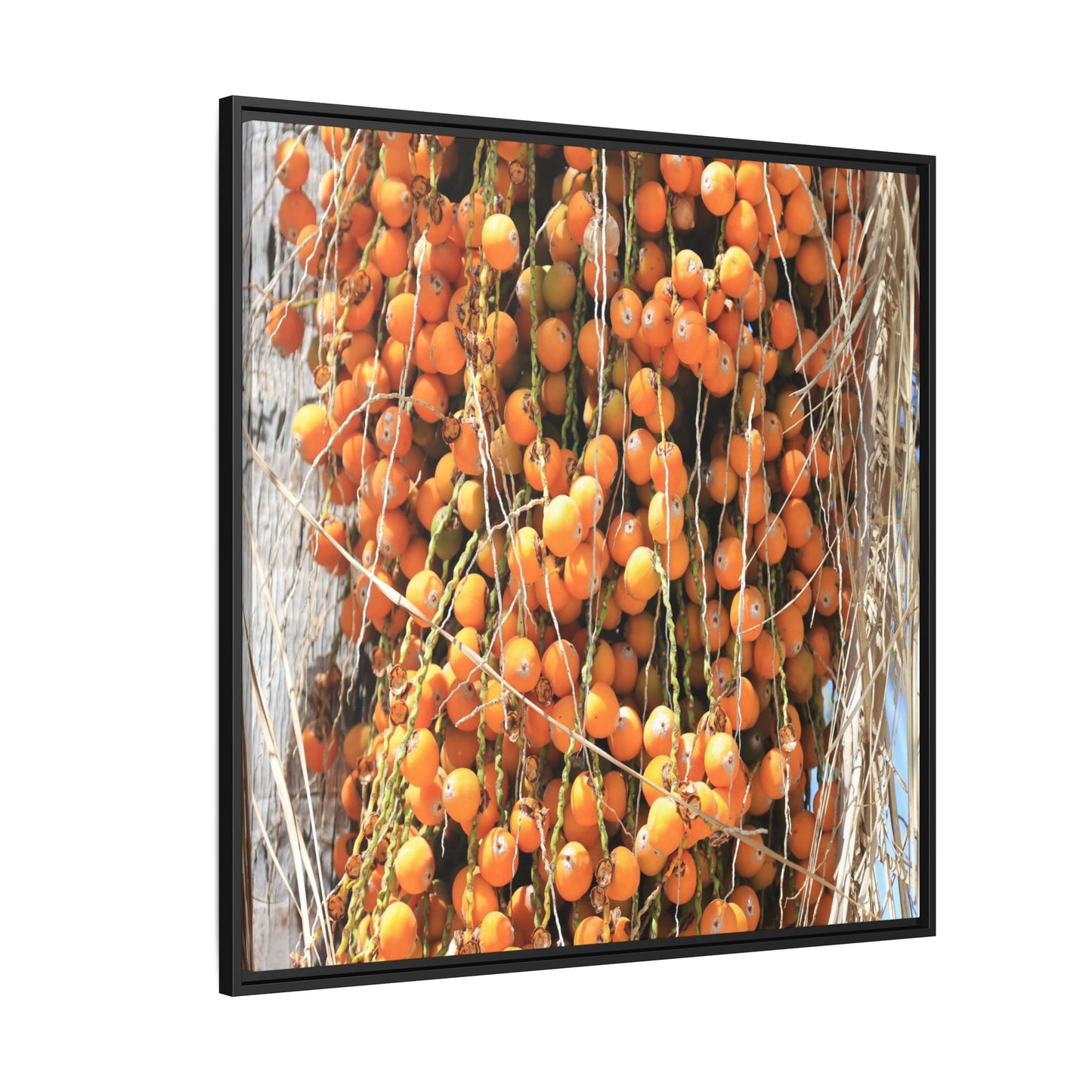 Clusters of Sunlight - Unique Canvas Wall Art
