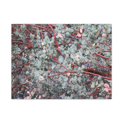 Whispers of Silver and Rust - Unique Frameless Canvas Wall Art