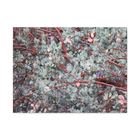 Whispers of Silver and Rust - Unique Frameless Canvas Wall Art