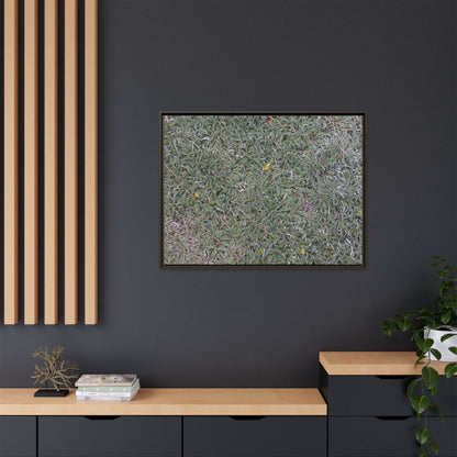 Grassy Texture - Unique Stretched Canvas Wall Art