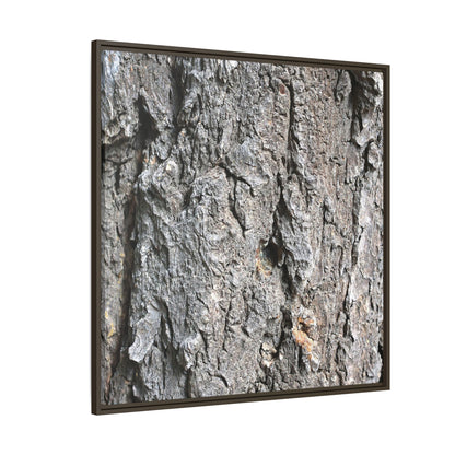Crusty Exterior - Unique Stretched Canvas Wall Art