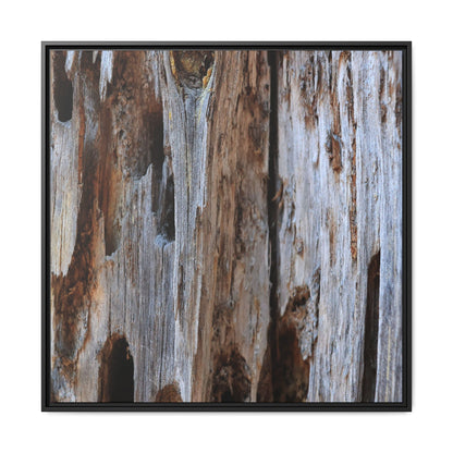 Decaying Splendor - Unique Stretched Canvas Wall Art