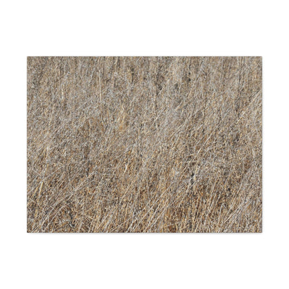 Silent Prairie - Unique Frameless Canvas Wall Art - Art By Earth