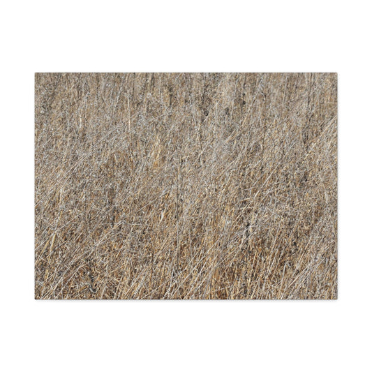 Silent Prairie - Unique Frameless Canvas Wall Art - Art By Earth