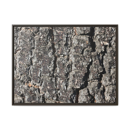 Bark Study in Gray - Unique Stretched Canvas Wall Art