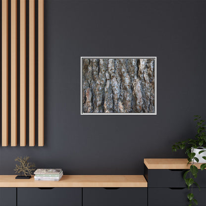 Bark Whispers - Unique Stretched Canvas Wall Art