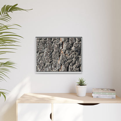 Aged Beauty - Unique Stretched Canvas Wall Art