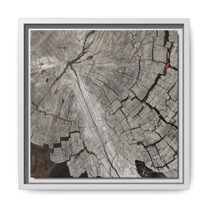 Time's Signature - Unique Stretched Canvas Wall Art