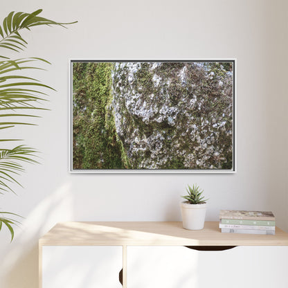 Lichen Landscape - Unique Stretched Canvas Wall Art