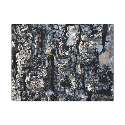 Textured Whispers of the Ancient Tree - Unique Frameless Canvas Wall Art