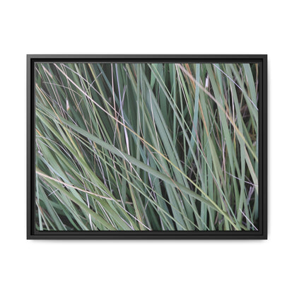 Grassland Symphony - Unique Stretched Canvas Wall Art