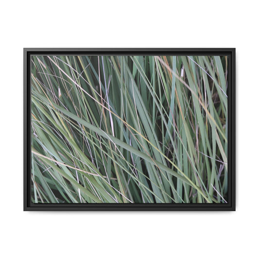Grassland Symphony - Unique Stretched Canvas Wall Art