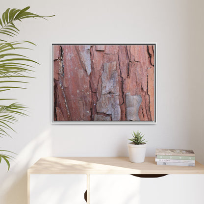 Peeling Bark - Unique Stretched Canvas Wall Art