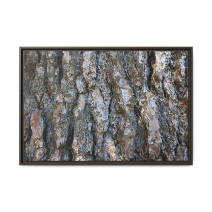 Bark Whispers - Unique Stretched Canvas Wall Art
