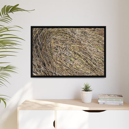 Tangled Grass Symphony - Unique Stretched Canvas Wall Art - Art By Earth
