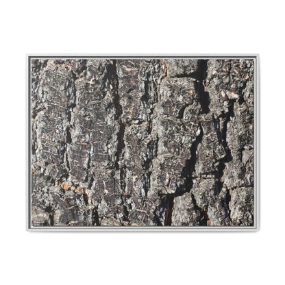 Bark Study in Gray - Unique Stretched Canvas Wall Art