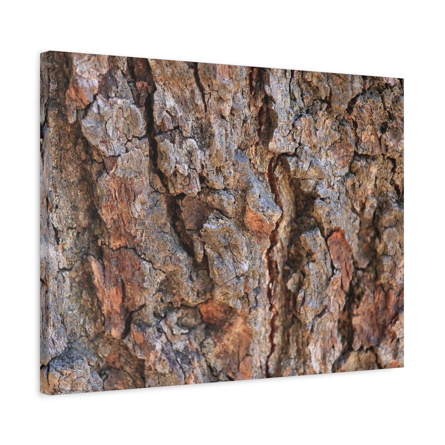 Roots of Time - Unique Frameless Canvas Wall Art