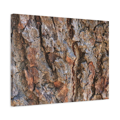 Roots of Time - Unique Frameless Canvas Wall Art