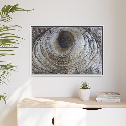 Echoes of Time - Unique Stretched Canvas Wall Art