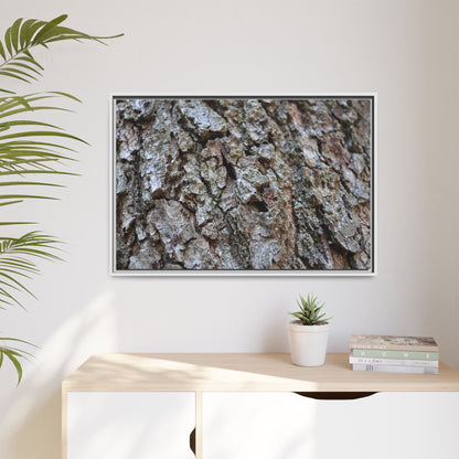 Woodland Canvas - Unique Stretched Canvas Wall Art