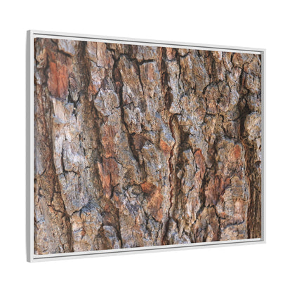 Tree's Timeworn Tale - Unique Stretched Canvas Wall Art