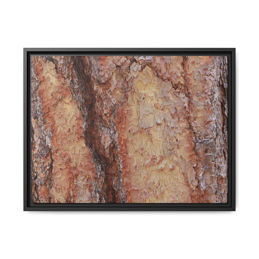 Rustic Rhythms - Unique Stretched Canvas Wall Art