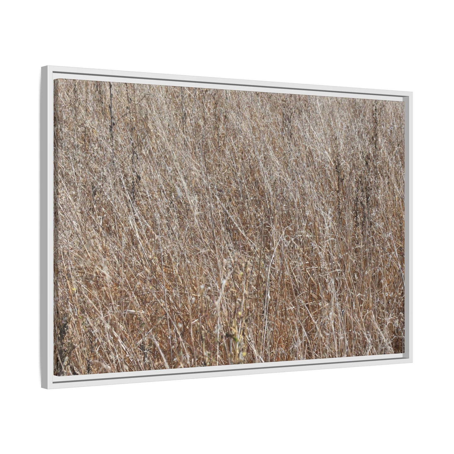 Whispers of Autumn - Unique Stretched Canvas Wall Art - Art By Earth