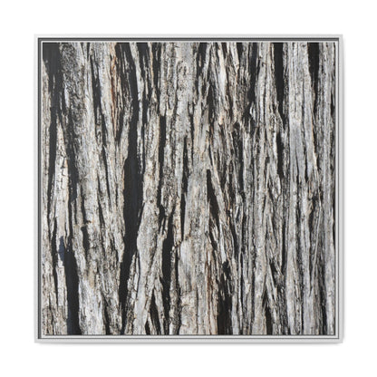 Nature's Abstract - Unique Stretched Canvas Wall Art