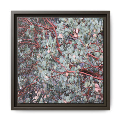 Whispers of Sage - Unique Stretched Canvas Wall Art