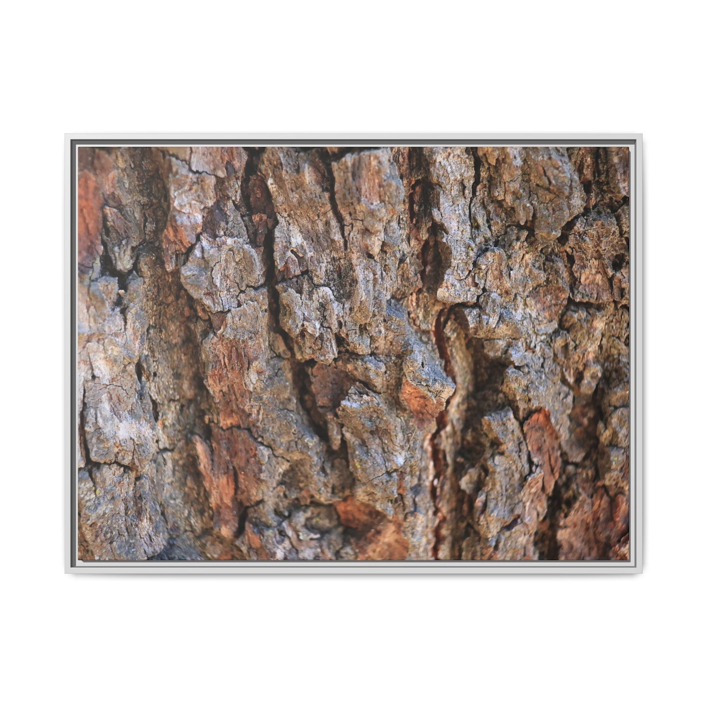 Craggy Textures - Unique Stretched Canvas Wall Art