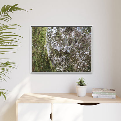 Lichen Landscape - Unique Stretched Canvas Wall Art