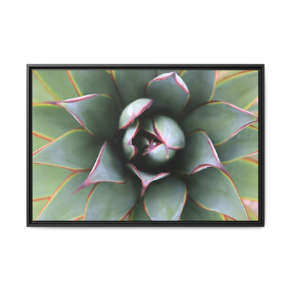 Spiky Elegance - Unique Stretched Canvas Wall Art