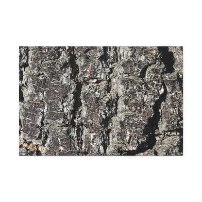 Cracked Skin of Earth - Unique Frameless Canvas Wall Art