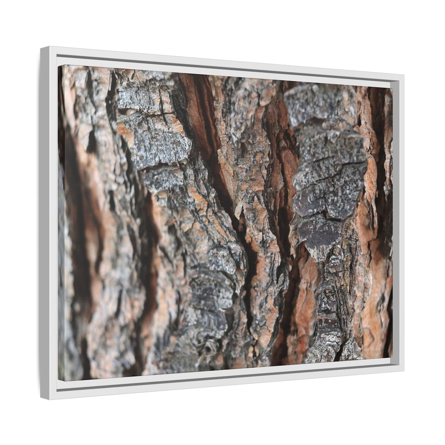 Fractured Nature - Unique Stretched Canvas Wall Art
