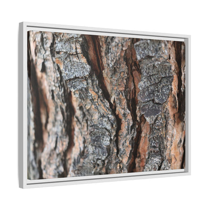 Fractured Nature - Unique Stretched Canvas Wall Art