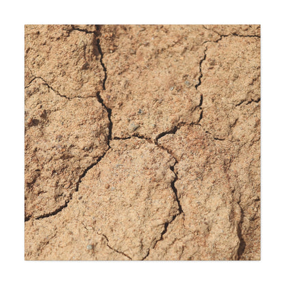 Cracked Earth's Lament - Unique Frameless Canvas Wall Art