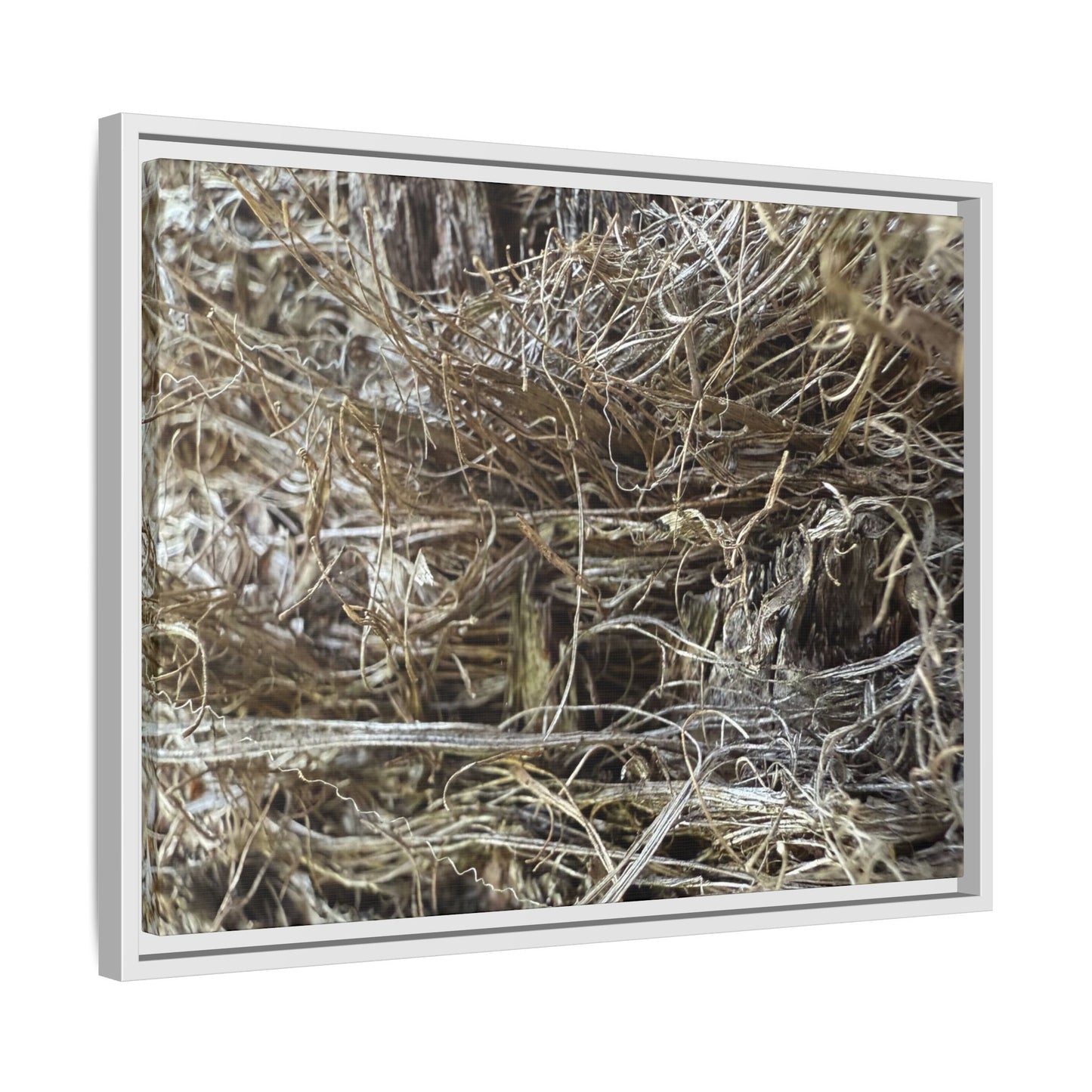 Tangled Whispers of Autumn - Unique Stretched Canvas Wall Art