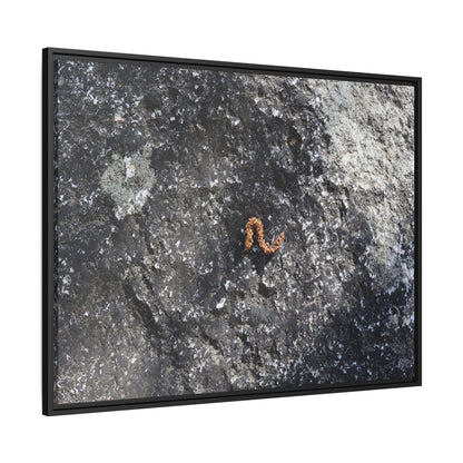 Volcanic Ash and Copper - Unique Stretched Canvas Wall Art