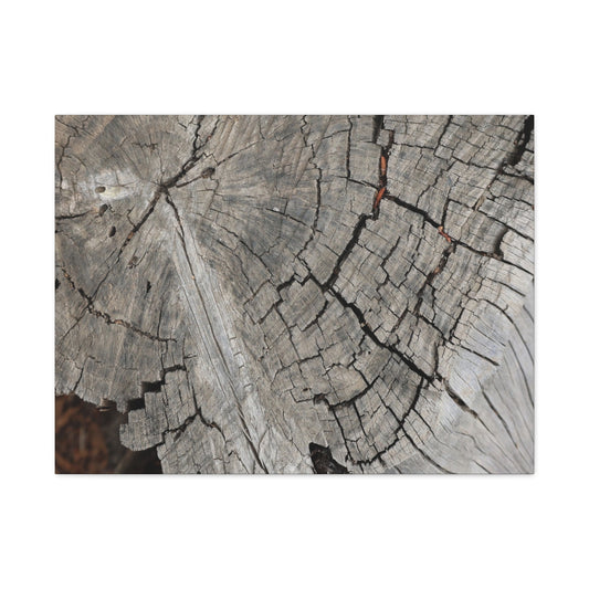 Cracked Memories - Unique Frameless Canvas Wall Art